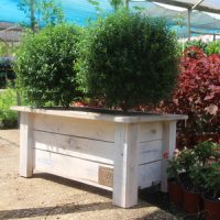 אדנית עץ דגם 'יהונתן' 50x30x30 - הללויה הארומה שבעץ
