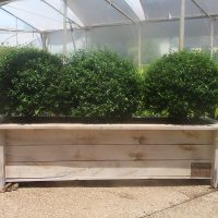 אדנית עץ דגם 'יהונתן' 120x30x30 - הללויה הארומה שבעץ