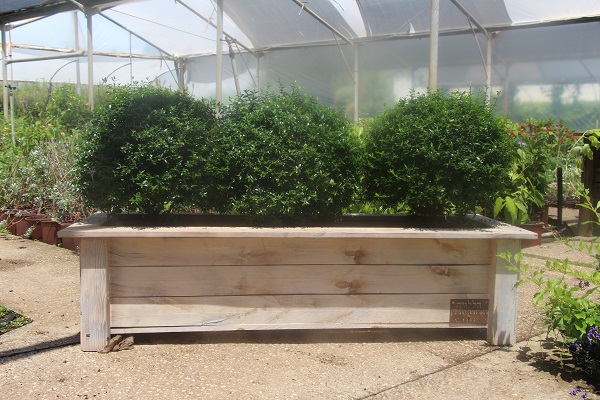 אדנית עץ דגם 'יהונתן' 120x30x30 - הללויה הארומה שבעץ